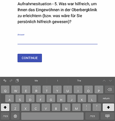 Beispiel einer Freitexteingabe